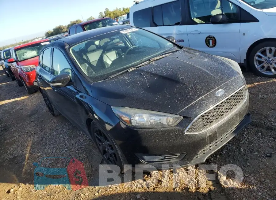 1FADP3K24GL307537 Photo# 4
