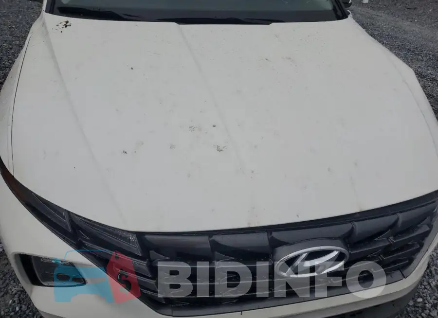 5NMJF3AE8PH247694 Photo# 12