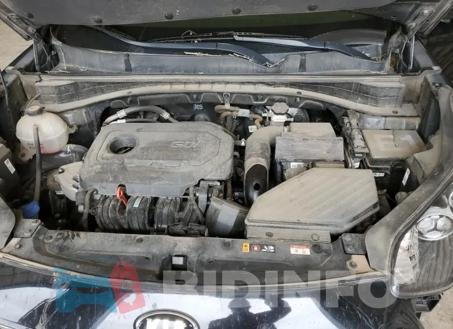 KNDPM3AC6M7900170 Photo# 12