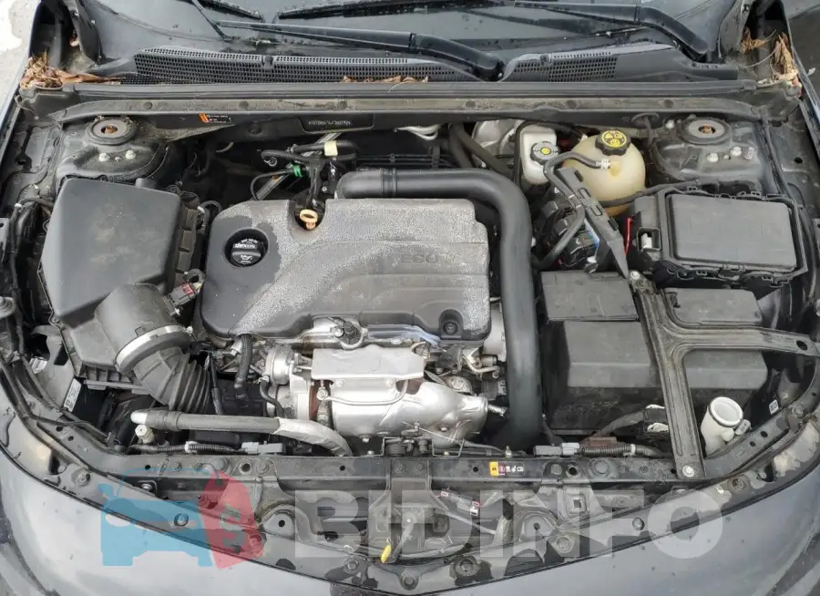 1G1ZD5ST6JF262192 Photo# 11