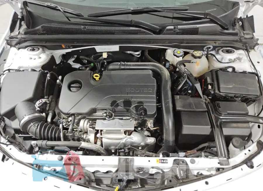1G1ZG5ST4PF115305 Photo# 11