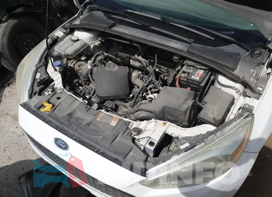 1FADP3E27GL325686 Photo# 11