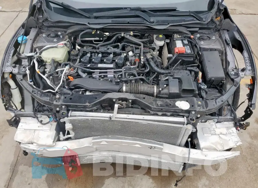 19XFC1F35GE004555 Photo# 11