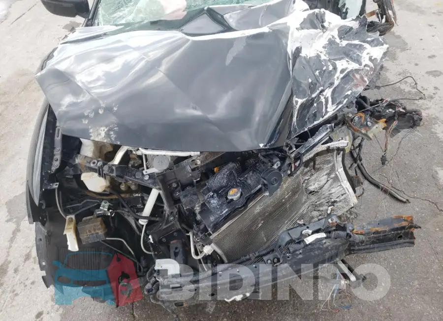KNMAT2MT4JP516656 Photo# 12