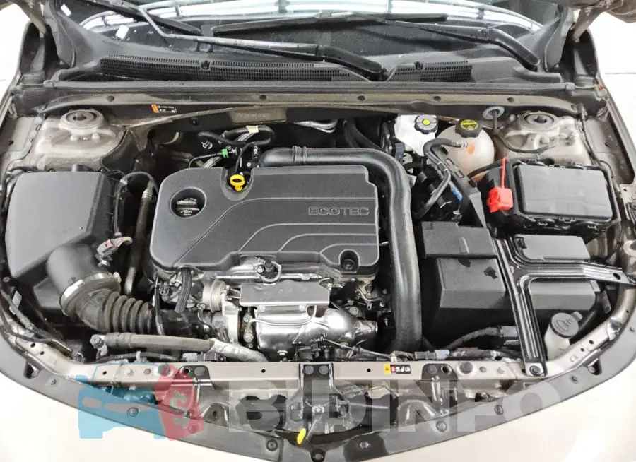 1G1ZD5ST4RF207381 Photo# 11
