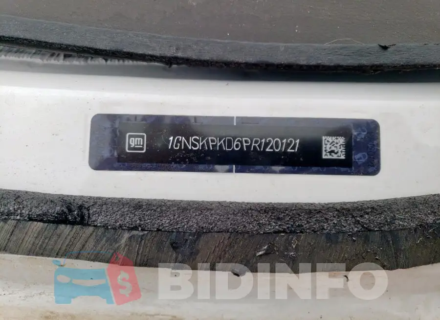 1GNSKPKD6PR120121 Photo# 13