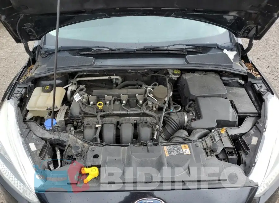1FADP3F26GL228607 Photo# 11