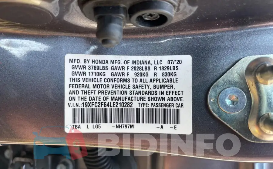 19XFC2F64LE210282 Photo# 10