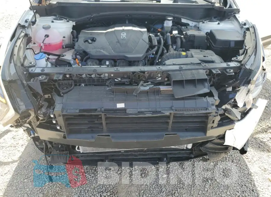 KNDPU3DFXS7345503 Photo# 12