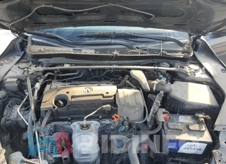 19UUB1F33GA008764 Photo# 11