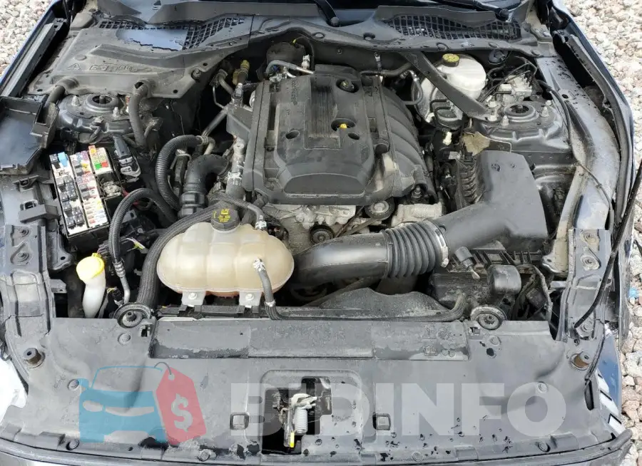 1FATP8UH3K5149344 Photo# 11