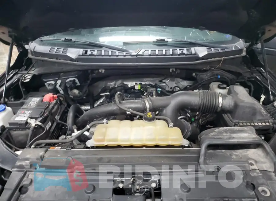 1FTEW1EP8KFB22895 Photo# 11 1FTEW1EP8KFB22895 Photo# 11