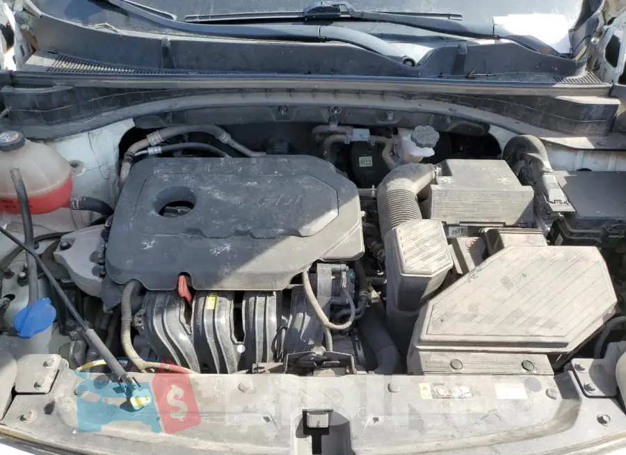 KNDPM3AC2M7879785 Photo# 11
