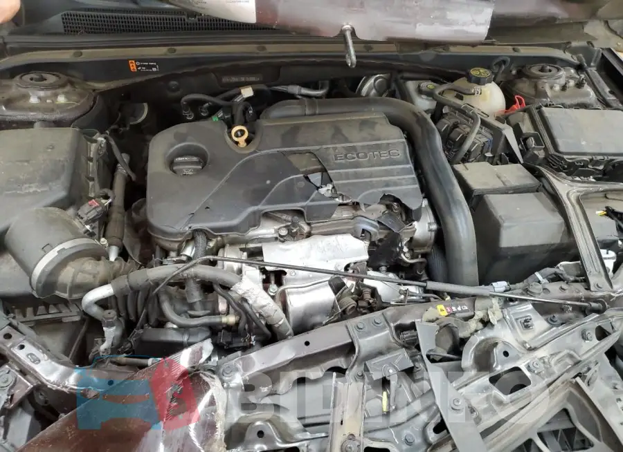 1G1ZB5ST0MF016961 Photo# 11