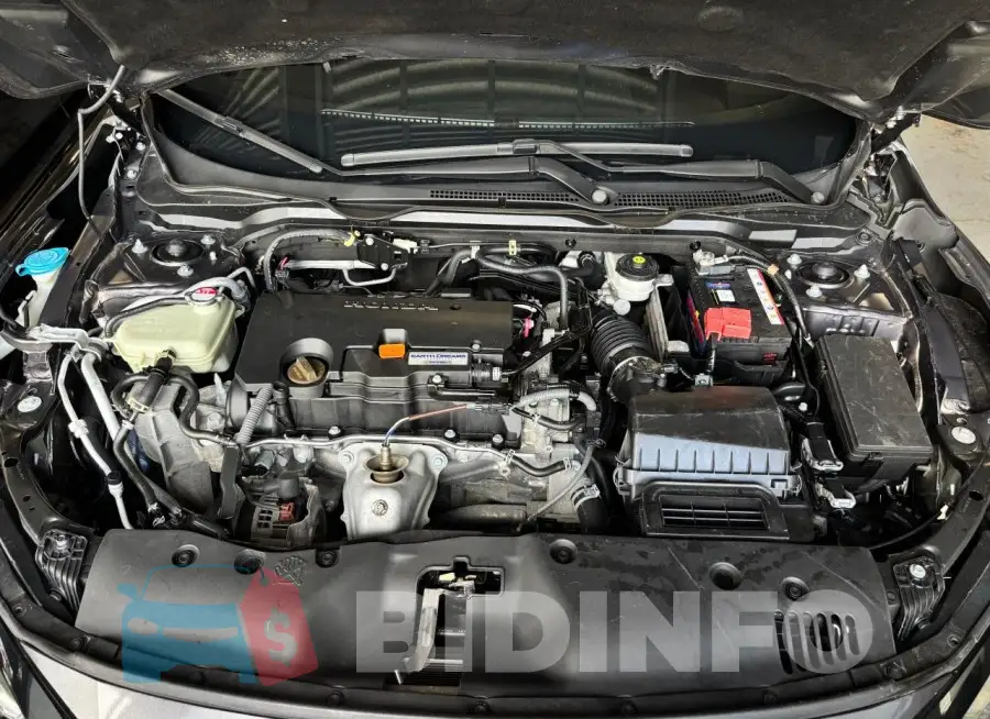 19XFC2F81LE215330 Photo# 7