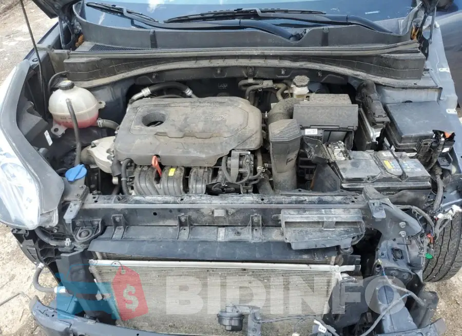 KNDPM3AC3M7868634 Photo# 12