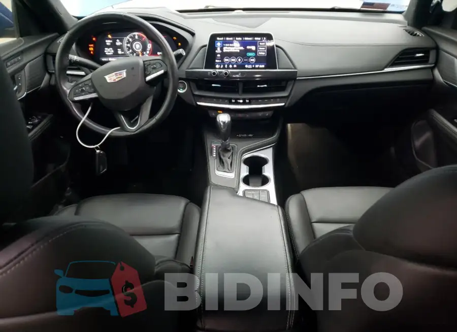 1G6DB5RK8N0131412 Photo# 8
