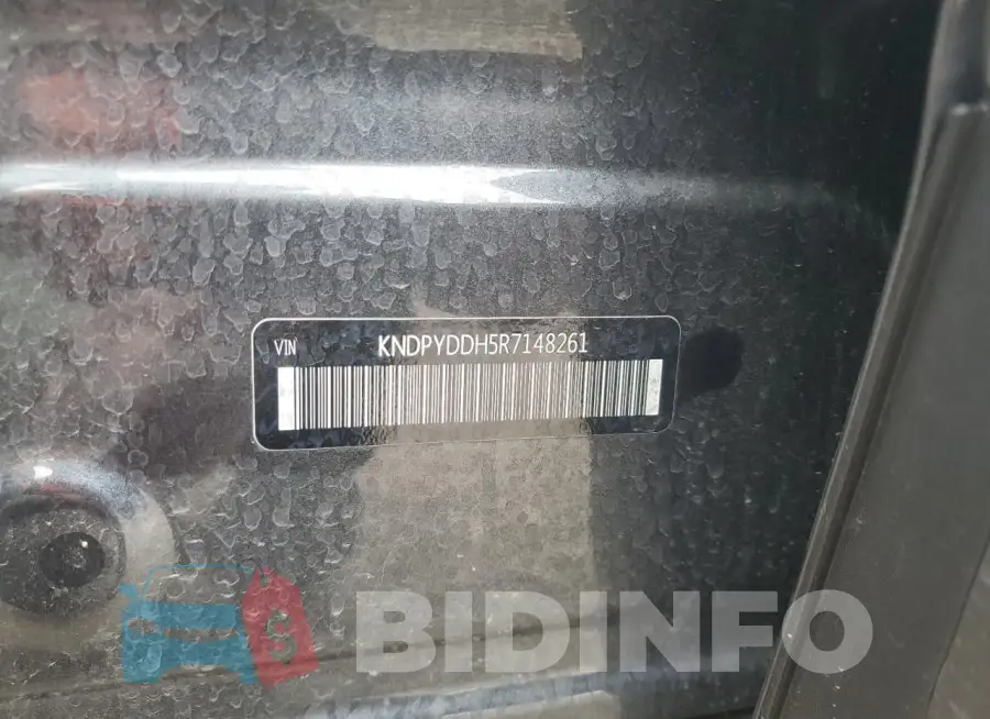 KNDPYDDH5R7148261 Photo# 13