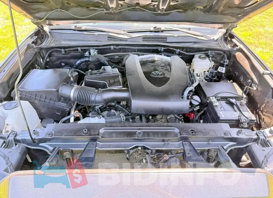 3TMCZ5AN3MM441215 Photo# 7