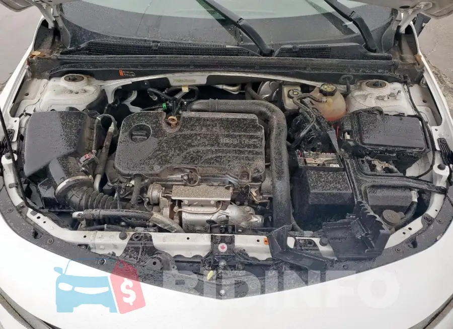 1G1ZD5ST1MF008880 Photo# 11