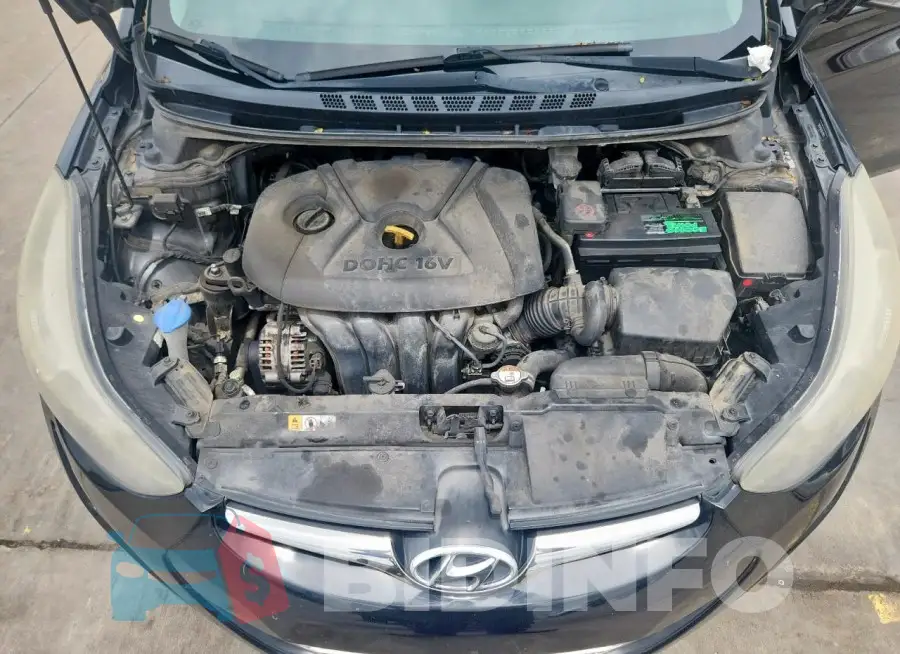 5NPDH4AE8GH768513 Photo# 11
