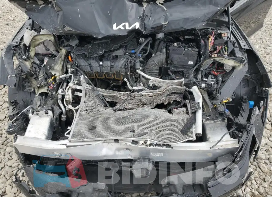 KNAG64J78S5310271 Photo# 11