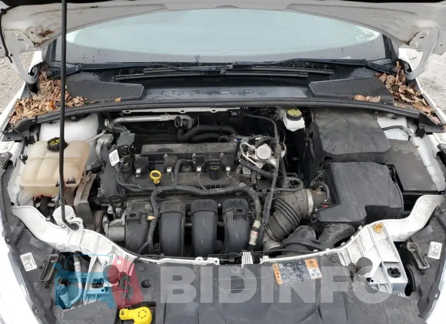 1FADP3F21JL231261 Photo# 11