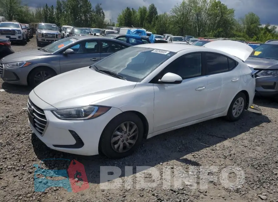 5NPD74LF1HH166899 Photo# 1