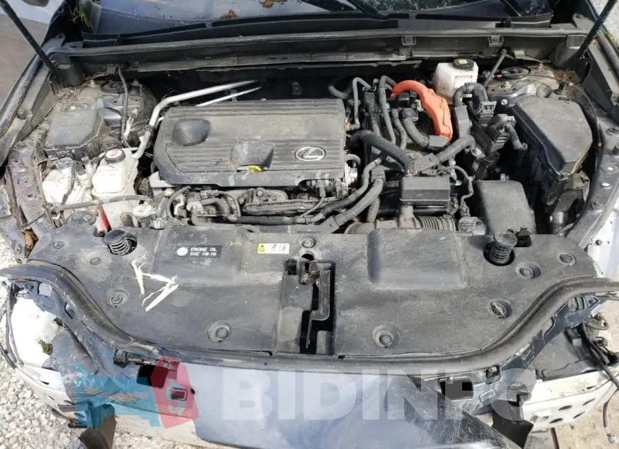 JTJGKCEZ5N5005607 Photo# 12