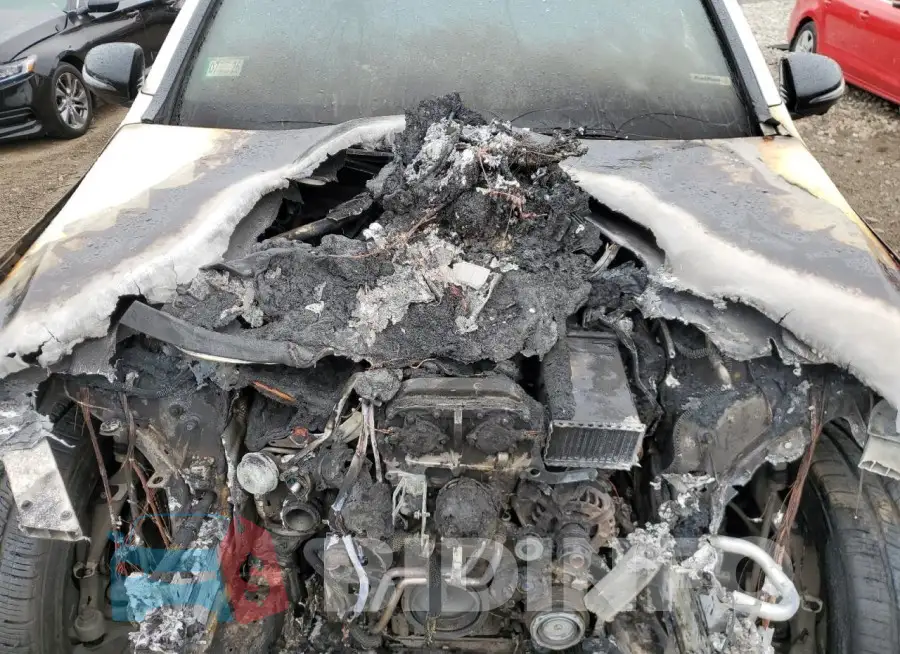 WDC0J4KB4JF342062 Photo# 11