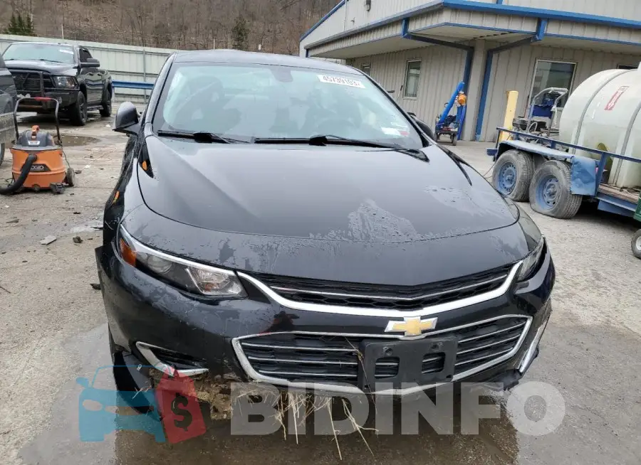 1G1ZB5ST2HF291446 Photo# 5