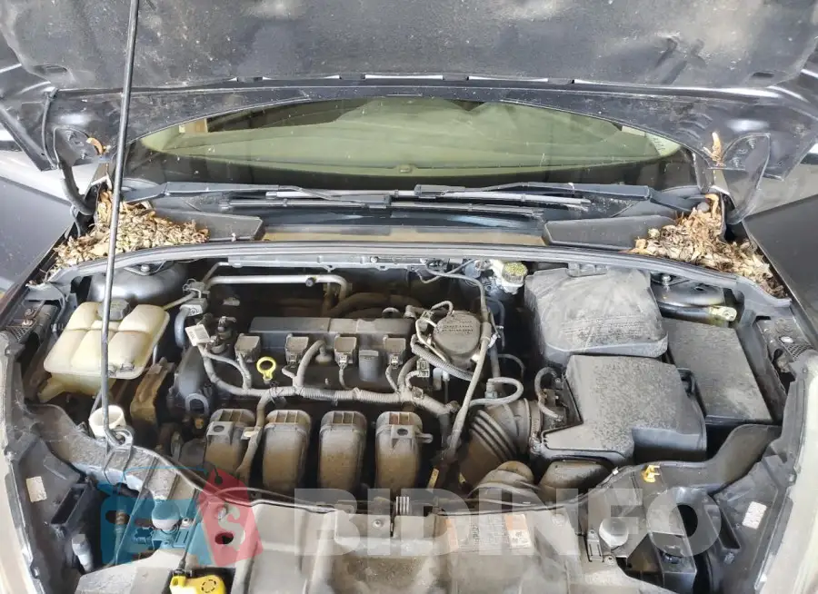 1FADP3F26GL229143 Photo# 11