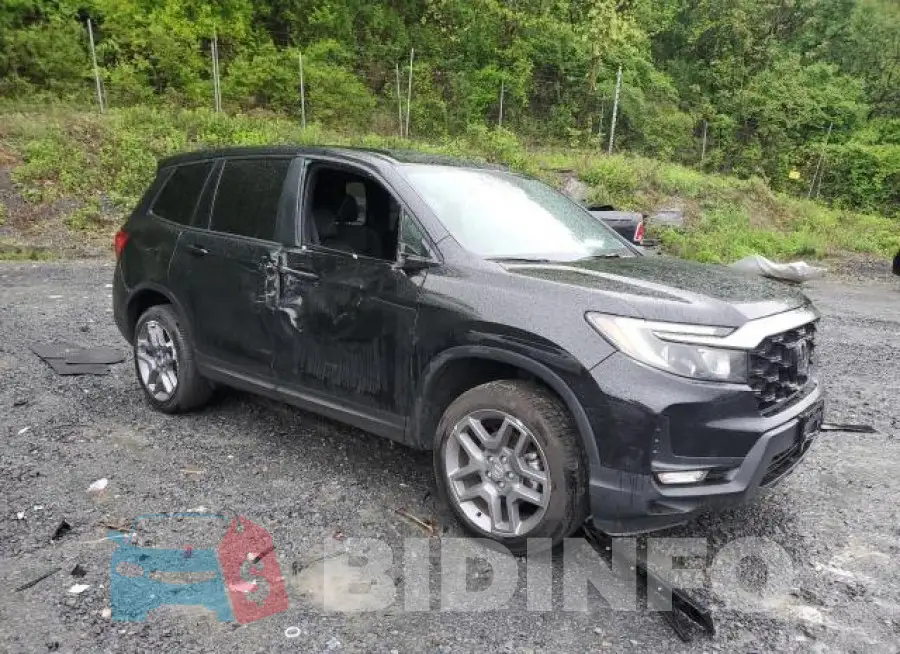 5FNYF8H55PB022183 Photo# 4