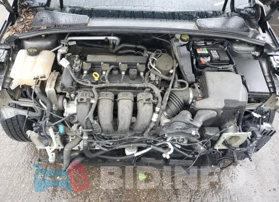 1FADP3E24GL281081 Photo# 11