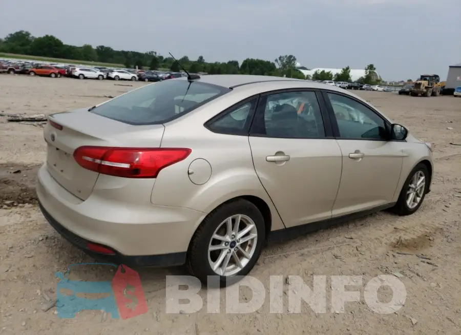 1FADP3F24HL291691 Photo# 3