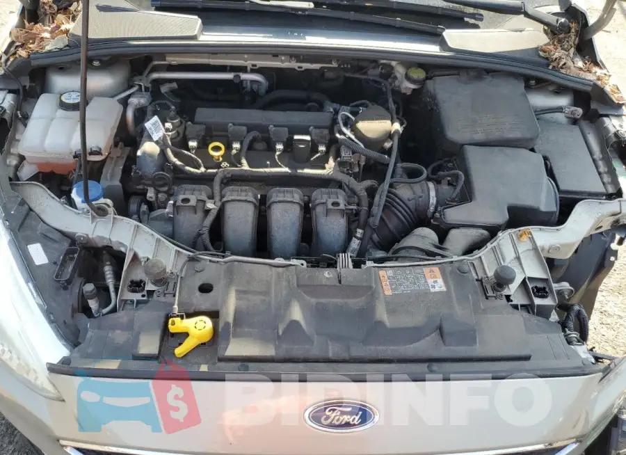 1FADP3F25GL256592 Photo# 11