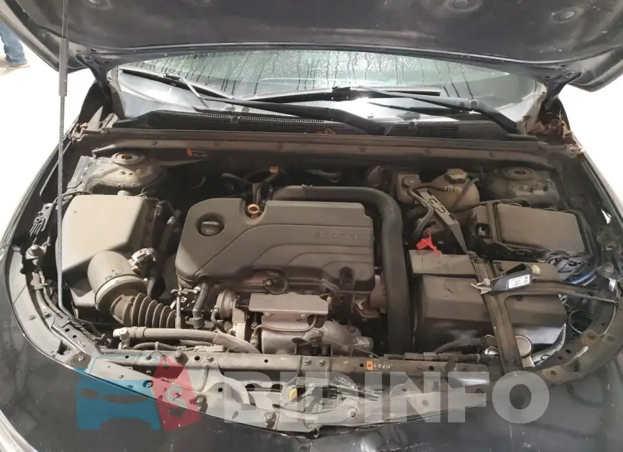 1G1ZD5ST5KF127237 Photo# 11