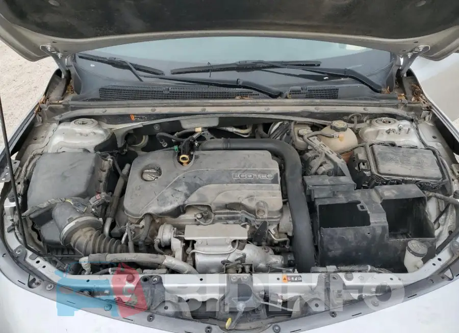 1G1ZD5ST5JF242497 Photo# 11