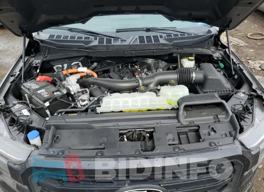 1FTFW5LD9RFC16699 Photo# 11