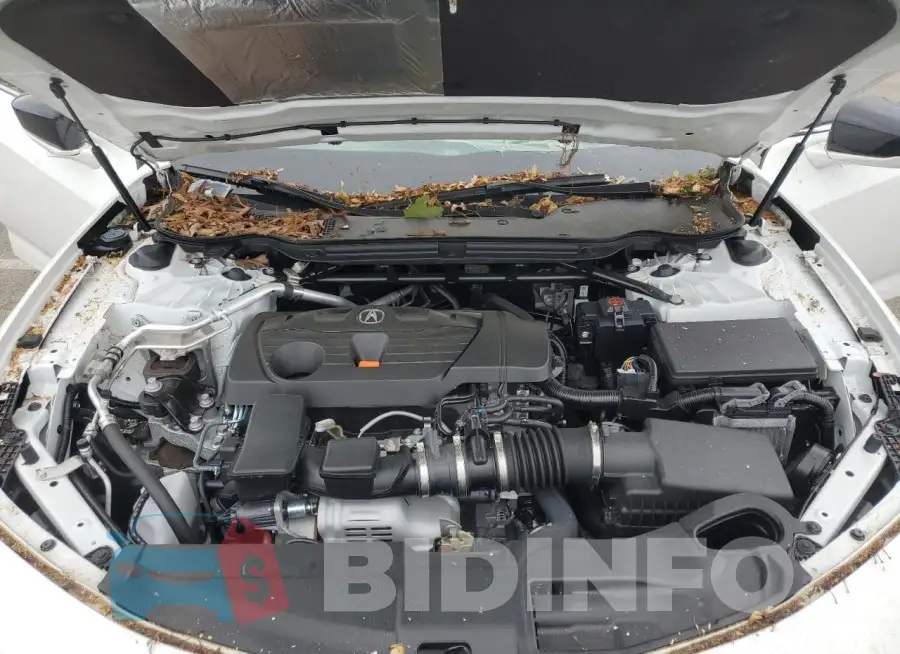 19UUB5F46RA001391 Photo# 11