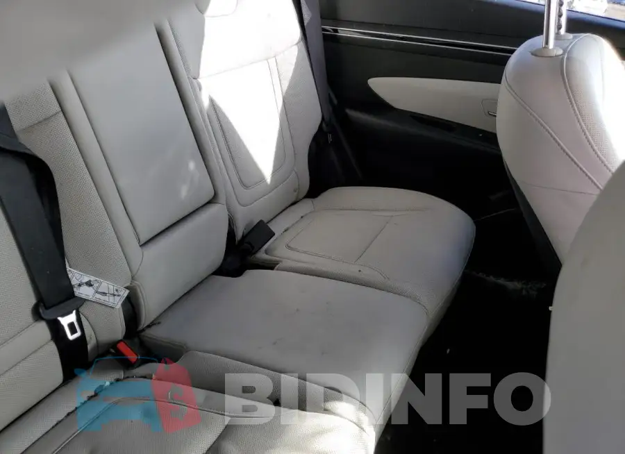 5NMJF3AE9PH285841 Photo# 11
