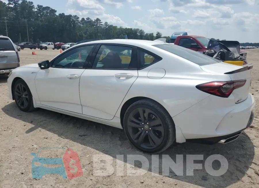 19UUB6F55PA003502 Photo# 2