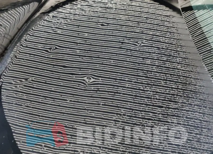 2C3CDXL99GH232837 Photo# 12