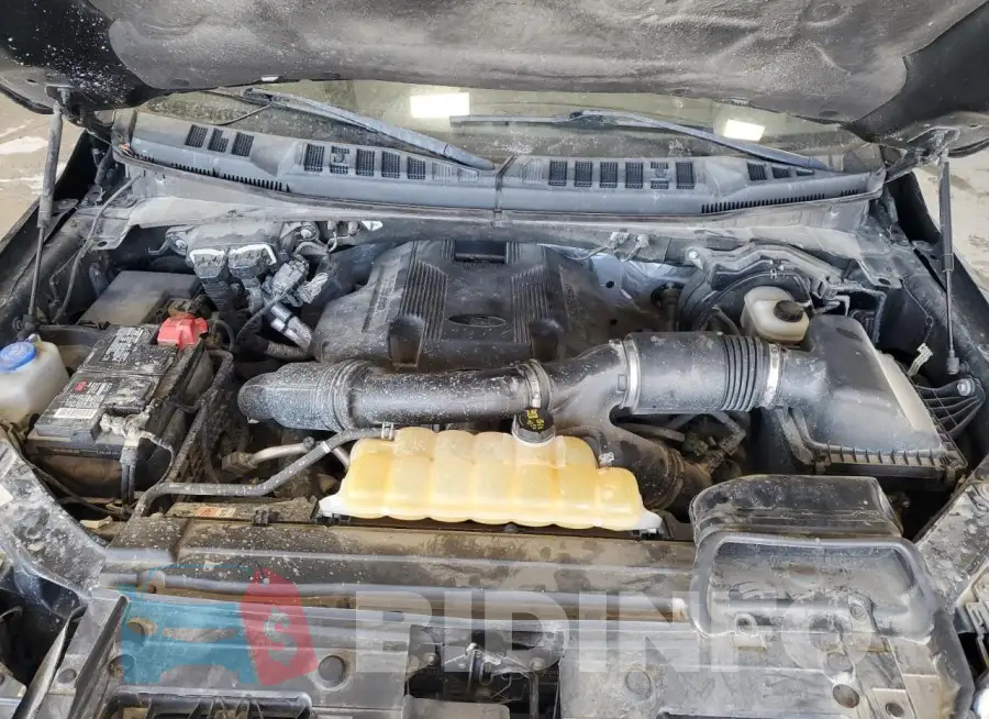 1FTEW1EG6HFC86770 Photo# 11