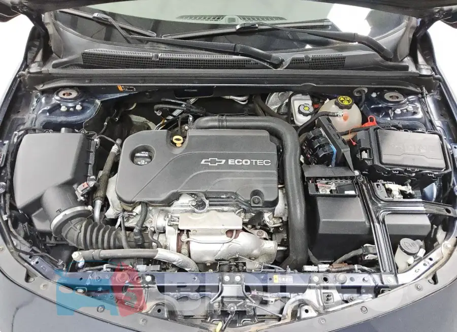 1G1ZC5ST0HF220565 Photo# 11