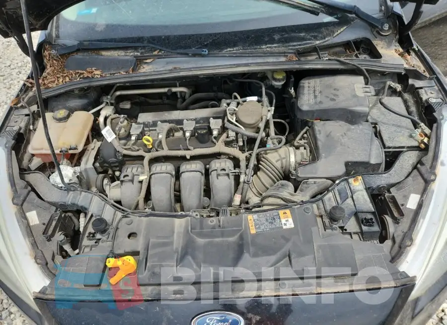 1FADP3F20GL241854 Photo# 11