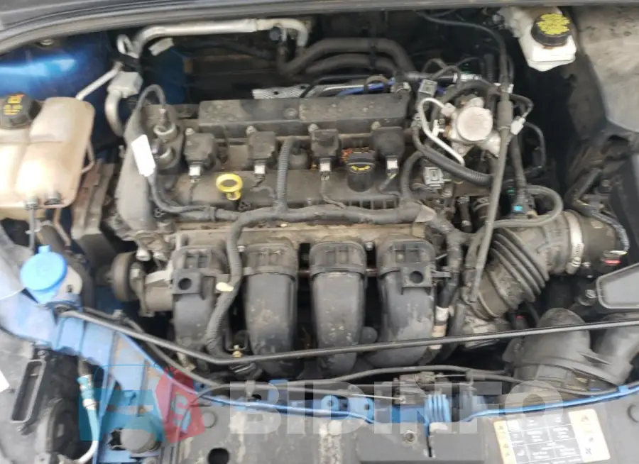 1FADP3F29JL258787 Photo# 11