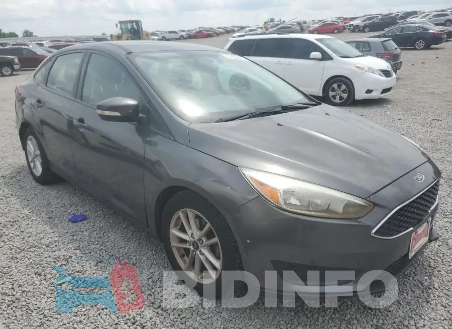 1FADP3F21GL343647 Photo# 4