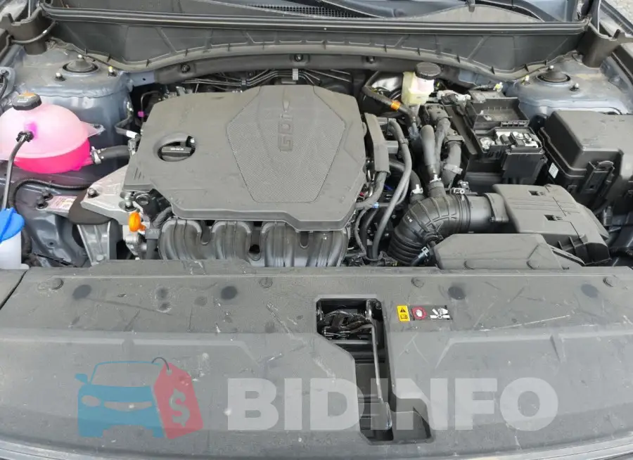 5NMJBCDE8SH509021 Photo# 12