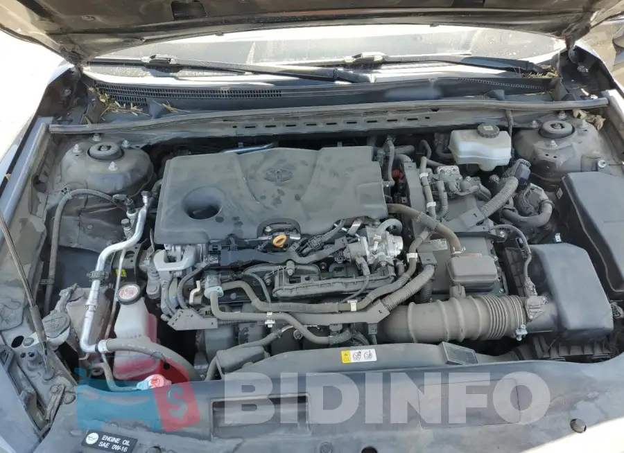 4T1S31AK6MU555096 Photo# 11